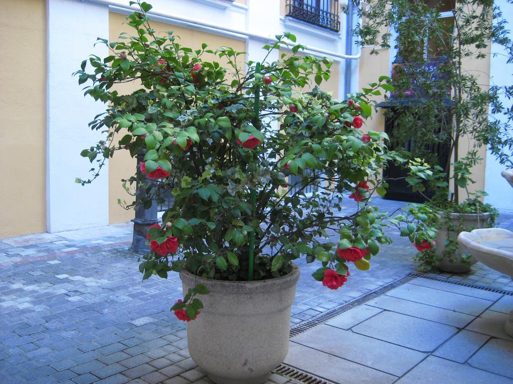 Hostal Huespedes Toledo Μαδρίτη Εξωτερικό φωτογραφία