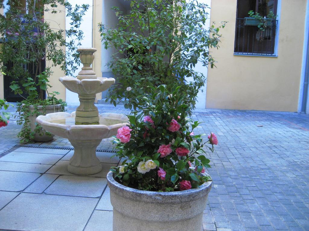 Hostal Huespedes Toledo Μαδρίτη Εξωτερικό φωτογραφία