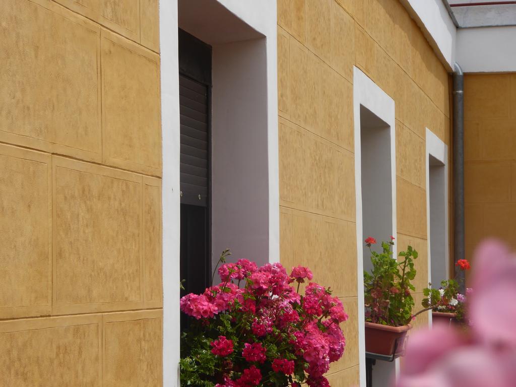 Hostal Huespedes Toledo Μαδρίτη Εξωτερικό φωτογραφία