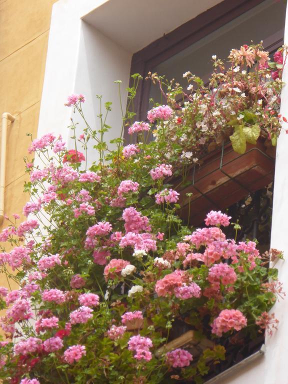 Hostal Huespedes Toledo Μαδρίτη Εξωτερικό φωτογραφία